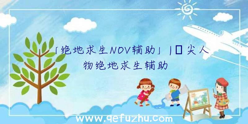 「绝地求生NOV辅助」|嵿尖人物绝地求生辅助